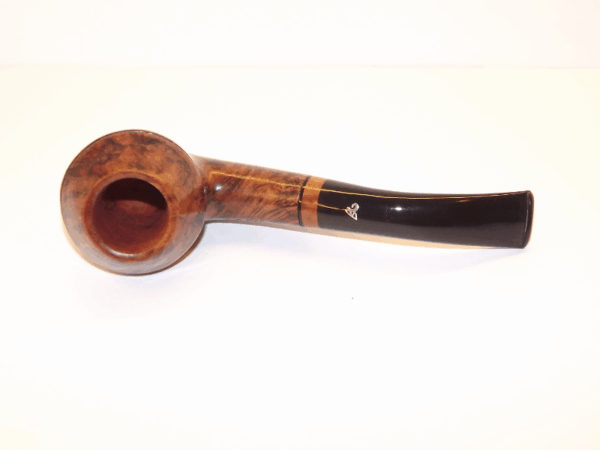 Luigi Viprati pipa Rhodesian - Image 5