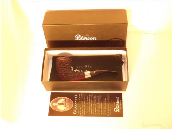 Peterson pipa Sherlock Holmes Mycroft Rustic F-lip - Image 7